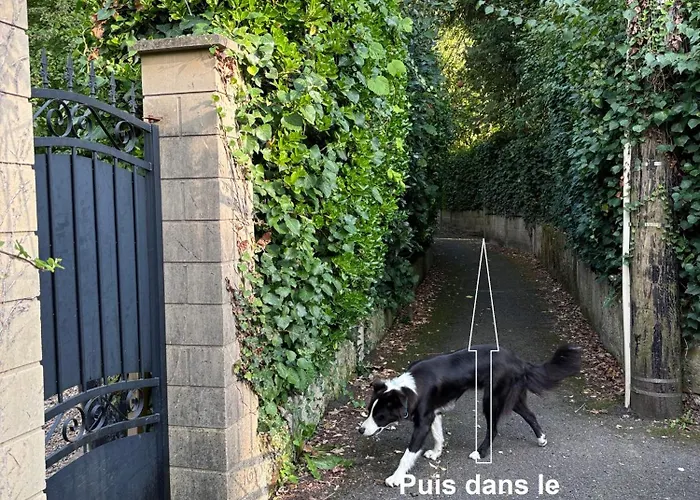 Bed & Breakfast Merig'home Bd Climatisee Dans Maison Avec Piscine Au Calme En Ville, Sdb & Toilettes Prives 3*